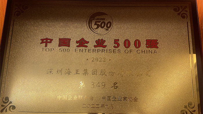 海王集團位列2022中國企業(yè)500強第349位、2022中國民營企業(yè)500強第155位 