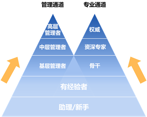 晉升雙通道發(fā)展機(jī)制_副本.png 晉升雙通道發(fā)展機(jī)制_副本.png